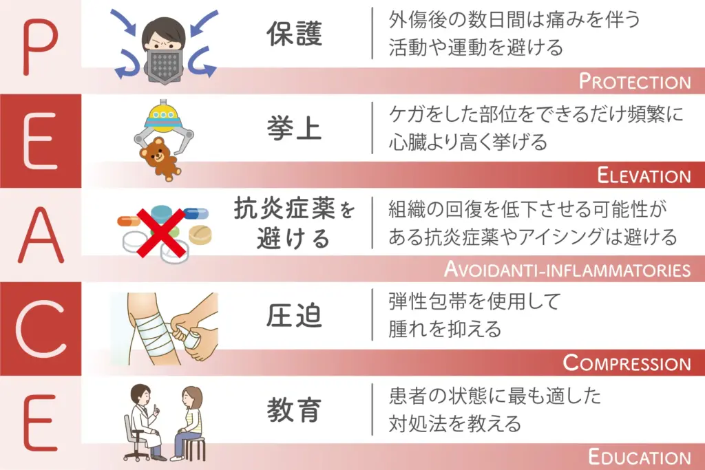 PEACEの画像